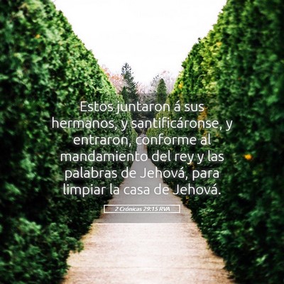 Picture 05 - 2 Crónicas 29:15 RVA - Estos juntaron á sus hermanos, y - Bible Verse Picture