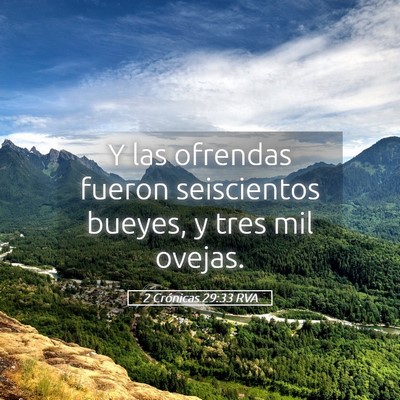 Picture 05 - 2 Crónicas 29:33 RVA - Y las ofrendas fueron seiscientos bueyes, y tres - Bible Verse Picture