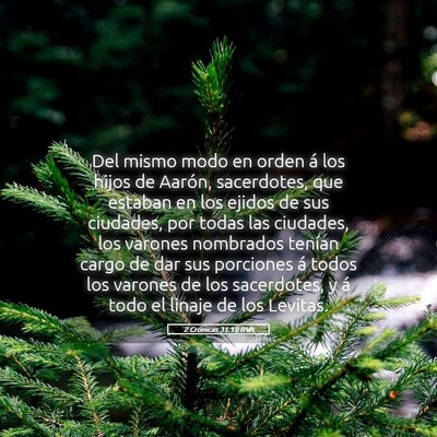 Picture 05 - 2 Crónicas 31:19 RVA - Del mismo modo en orden á los hijos de Aarón, - Bible Verse Picture
