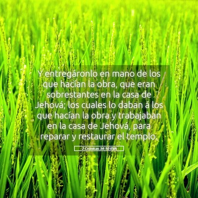 Picture 05 - 2 Crónicas 34:10 RVA - Y entregáronlo en mano de los que hacían la - Bible Verse Picture