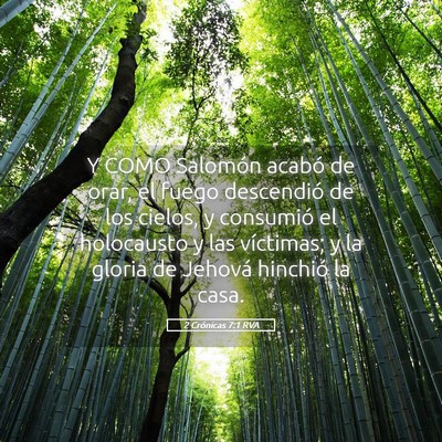 Picture 05 - 2 Crónicas 7:1 RVA - Y COMO Salomón acabó de orar, el fuego - Bible Verse Picture