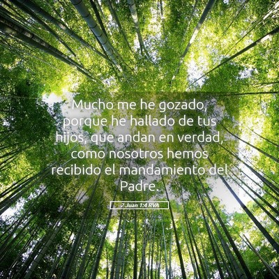 Picture 05 - 2 Juan 1:4 RVA - Mucho me he gozado, porque he hallado de tus - Bible Verse Picture