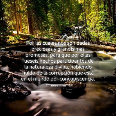 Picture 05 - 2 Pedro 1:4 RVA - Por las cuales nos son dadas preciosas y - Bible Verse Picture