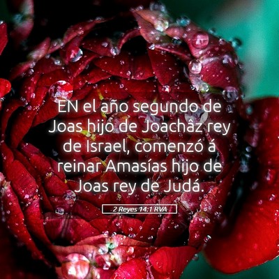 Picture 05 - 2 Reyes 14:1 RVA - EN el año segundo de Joas hijo de Joachâz rey - Bible Verse Picture