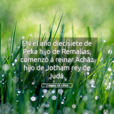 Picture 05 - 2 Reyes 16:1 RVA - EN el año diecisiete de Peka hijo de Remalías, - Bible Verse Picture