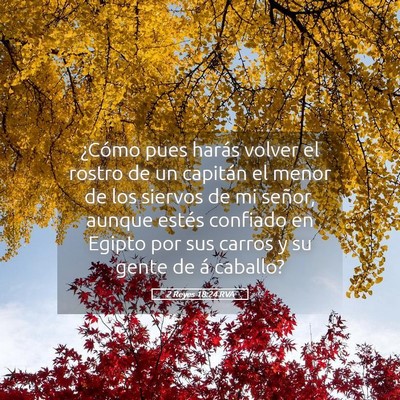 Picture 05 - 2 Reyes 18:24 RVA - ¿Cómo pues harás volver el rostro de un - Bible Verse Picture