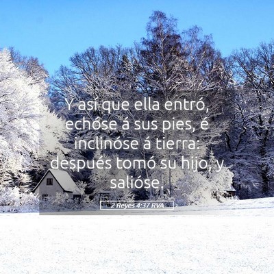 Picture 05 - 2 Reyes 4:37 RVA - Y así que ella entró, echóse á sus pies, é - Bible Verse Picture