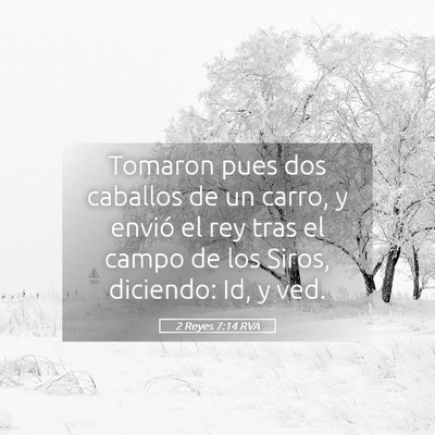 Picture 05 - 2 Reyes 7:14 RVA - Tomaron pues dos caballos de un carro, y envió - Bible Verse Picture