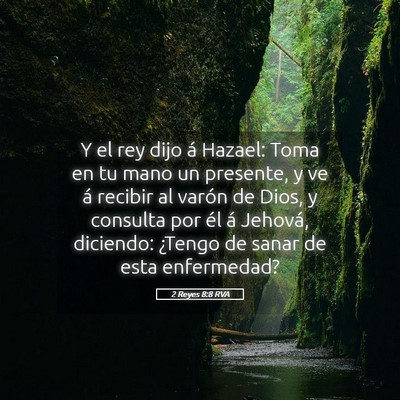 Picture 05 - 2 Reyes 8:8 RVA - Y el rey dijo á Hazael: Toma en tu mano un - Bible Verse Picture