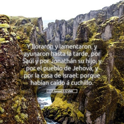 Picture 05 - 2 Samuel 1:12 RVA - Y lloraron y lamentaron, y ayunaron hasta la - Bible Verse Picture