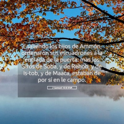 Picture 05 - 2 Samuel 10:8 RVA - Y saliendo los hijos de Ammón, ordenaron sus - Bible Verse Picture