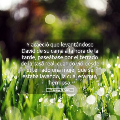 Picture 05 - 2 Samuel 11:2 RVA - Y acaeció que levantándose David de su cama á - Bible Verse Picture