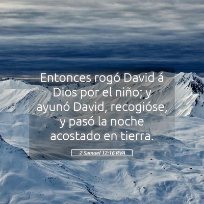Picture 05 - 2 Samuel 12:16 RVA - Entonces rogó David á Dios por el niño; y - Bible Verse Picture