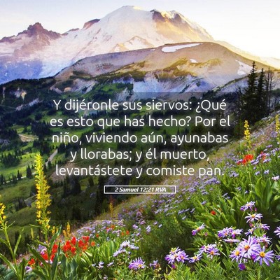Picture 05 - 2 Samuel 12:21 RVA - Y dijéronle sus siervos: ¿Qué es esto que has - Bible Verse Picture
