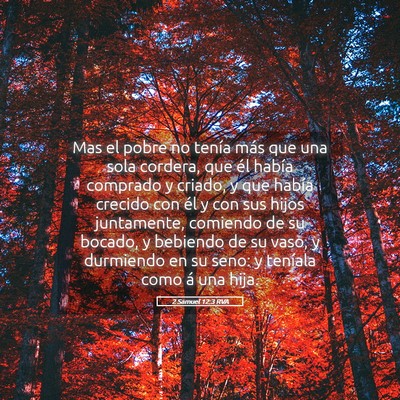Picture 05 - 2 Samuel 12:3 RVA - Mas el pobre no tenía más que una sola cordera, - Bible Verse Picture