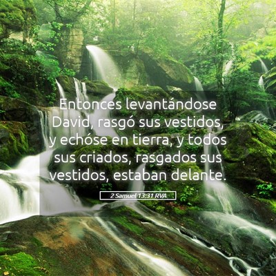 Picture 05 - 2 Samuel 13:31 RVA - Entonces levantándose David, rasgó sus - Bible Verse Picture