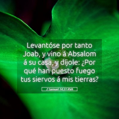 Picture 05 - 2 Samuel 14:31 RVA - Levantóse por tanto Joab, y vino á Absalom á - Bible Verse Picture