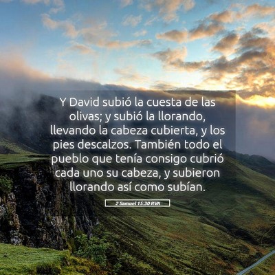 Picture 05 - 2 Samuel 15:30 RVA - Y David subió la cuesta de las olivas; y subió - Bible Verse Picture