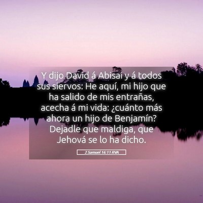 Picture 05 - 2 Samuel 16:11 RVA - Y dijo David á Abisai y á todos sus siervos: He - Bible Verse Picture