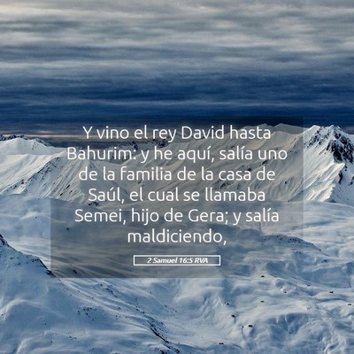 Picture 05 - 2 Samuel 16:5 RVA - Y vino el rey David hasta Bahurim: y he aquí, - Bible Verse Picture