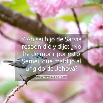 Picture 05 - 2 Samuel 19:21 RVA - Y Abisai hijo de Sarvia responidió y dijo: ¿No - Bible Verse Picture