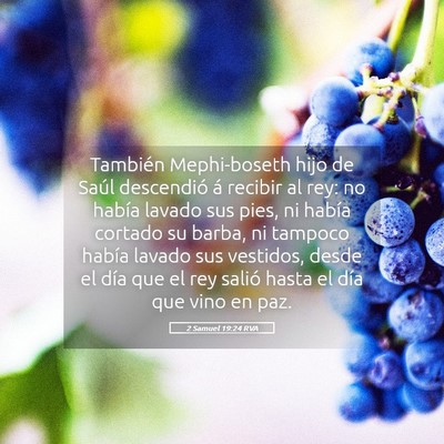 Picture 05 - 2 Samuel 19:24 RVA - También Mephi-boseth hijo de Saúl descendió á - Bible Verse Picture