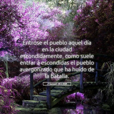 Picture 05 - 2 Samuel 19:3 RVA - Entróse el pueblo aquel día en la ciudad - Bible Verse Picture