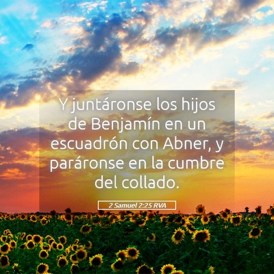 Picture 05 - 2 Samuel 2:25 RVA - Y juntáronse los hijos de Benjamín en un - Bible Verse Picture