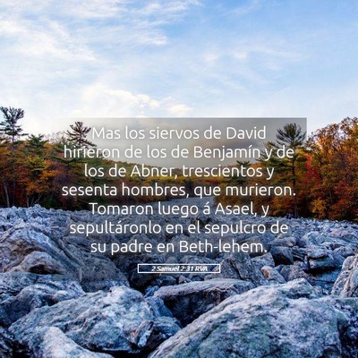 Picture 05 - 2 Samuel 2:31 RVA - Mas los siervos de David hirieron de los de - Bible Verse Picture