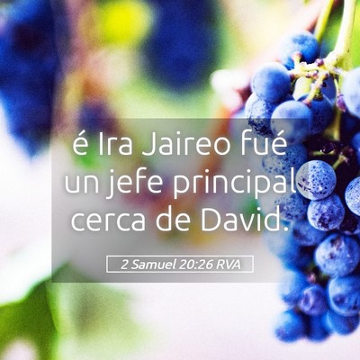 Picture 05 - 2 Samuel 20:26 RVA - é Ira Jaireo fué un jefe principal cerca de - Bible Verse Picture