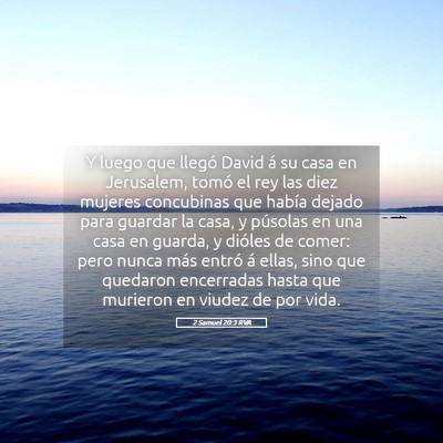 Picture 05 - 2 Samuel 20:3 RVA - Y luego que llegó David á su casa en Jerusalem, - Bible Verse Picture