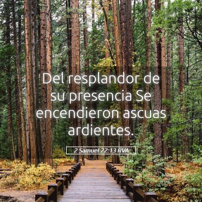 Picture 05 - 2 Samuel 22:13 RVA - Del resplandor de su presencia Se encendieron - Bible Verse Picture