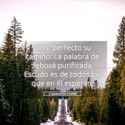 Picture 05 - 2 Samuel 22:31 RVA - Dios, perfecto su camino: La palabra de Jehová - Bible Verse Picture
