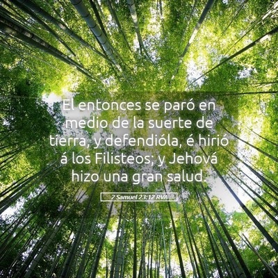Picture 05 - 2 Samuel 23:12 RVA - El entonces se paró en medio de la suerte de - Bible Verse Picture