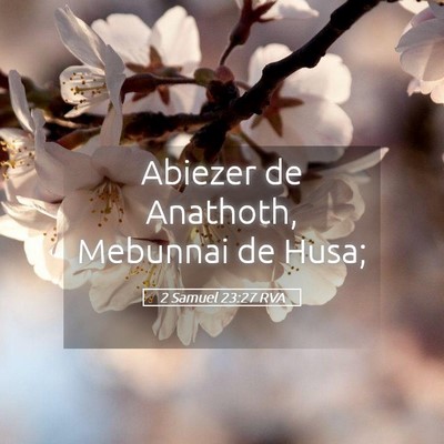 Picture 05 - 2 Samuel 23:27 RVA - Abiezer de Anathoth, Mebunnai de - Bible Verse Picture