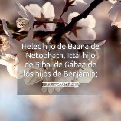 Picture 05 - 2 Samuel 23:29 RVA - Helec hijo de Baana de Netophath, Ittai hijo de - Bible Verse Picture