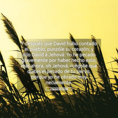 Picture 05 - 2 Samuel 24:10 RVA - Y después que David hubo contado el pueblo, - Bible Verse Picture
