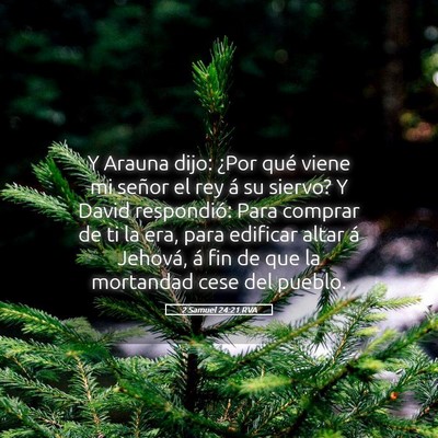 Picture 05 - 2 Samuel 24:21 RVA - Y Arauna dijo: ¿Por qué viene mi señor el rey - Bible Verse Picture