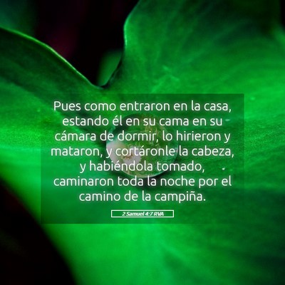 Picture 05 - 2 Samuel 4:7 RVA - Pues como entraron en la casa, estando él en su - Bible Verse Picture