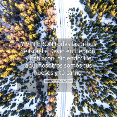 Picture 05 - 2 Samuel 5:1 RVA - Y VINIERON todas las tribus de Israel á David en - Bible Verse Picture
