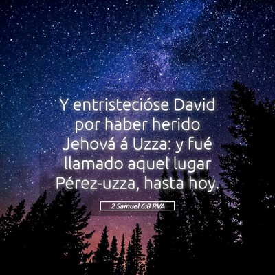 Picture 05 - 2 Samuel 6:8 RVA - Y entristecióse David por haber herido Jehová - Bible Verse Picture