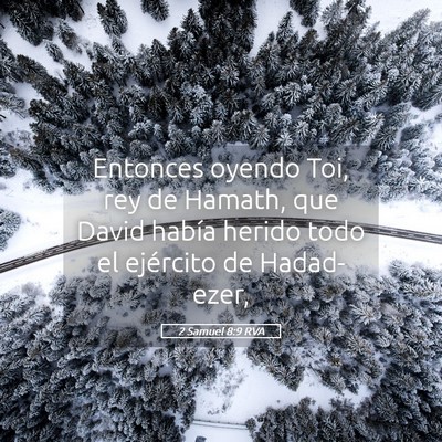 Picture 05 - 2 Samuel 8:9 RVA - Entonces oyendo Toi, rey de Hamath, que David - Bible Verse Picture