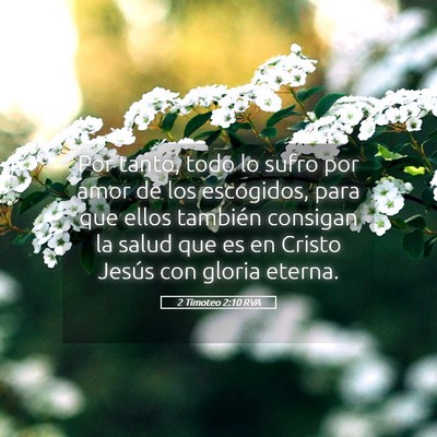 Picture 05 - 2 Timoteo 2:10 RVA - Por tanto, todo lo sufro por amor de los - Bible Verse Picture