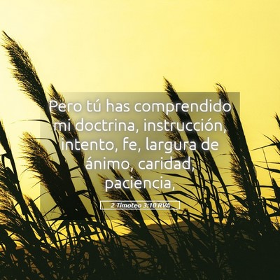 Picture 05 - 2 Timoteo 3:10 RVA - Pero tú has comprendido mi doctrina, - Bible Verse Picture