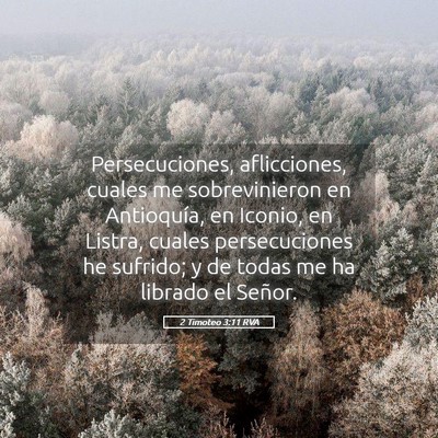 Picture 05 - 2 Timoteo 3:11 RVA - Persecuciones, aflicciones, cuales me - Bible Verse Picture