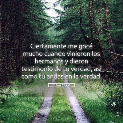 Picture 05 - 3 Juan 1:3 RVA - Ciertamente me gocé mucho cuando vinieron los - Bible Verse Picture