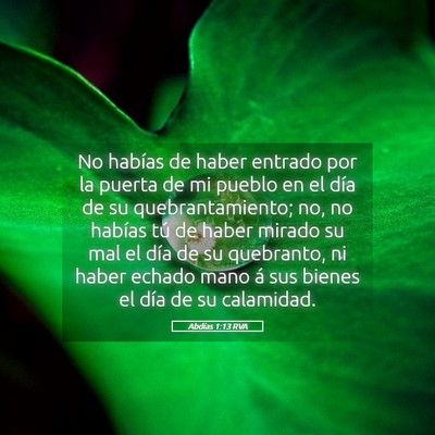 Picture 05 - Abdías 1:13 RVA - No habías de haber entrado por la puerta de mi - Bible Verse Picture