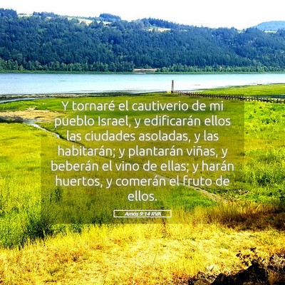 Picture 05 - Amós 9:14 RVA - Y tornaré el cautiverio de mi pueblo Israel, y - Bible Verse Picture
