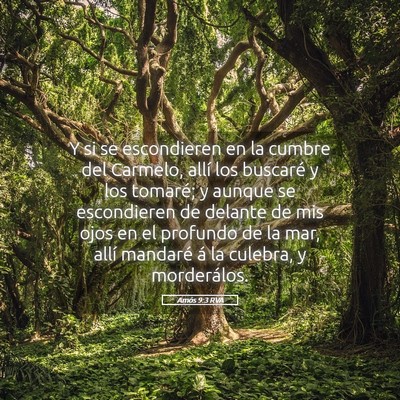 Picture 05 - Amós 9:3 RVA - Y si se escondieren en la cumbre del Carmelo, - Bible Verse Picture