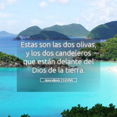 Picture 05 - Apocalipsis 11:4 RVA - Estas son las dos olivas, y los dos candeleros - Bible Verse Picture